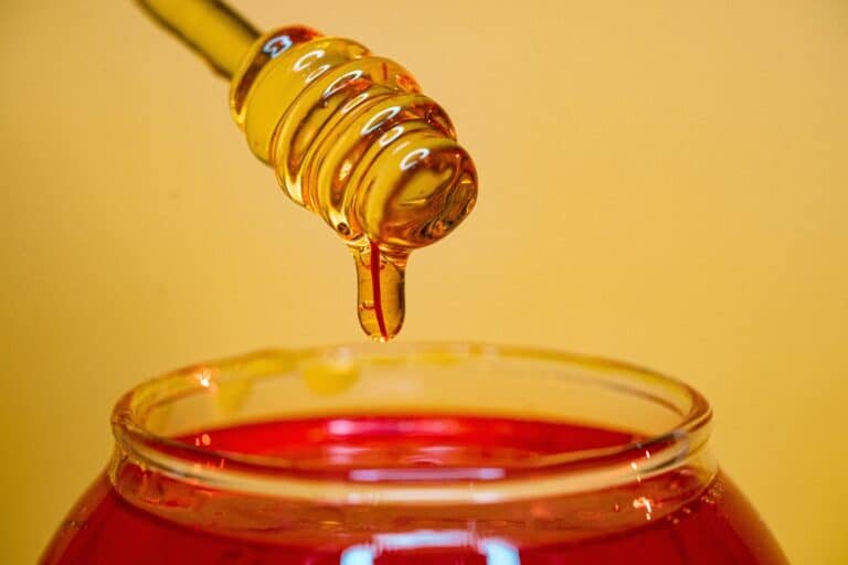 can a vegan eat honey