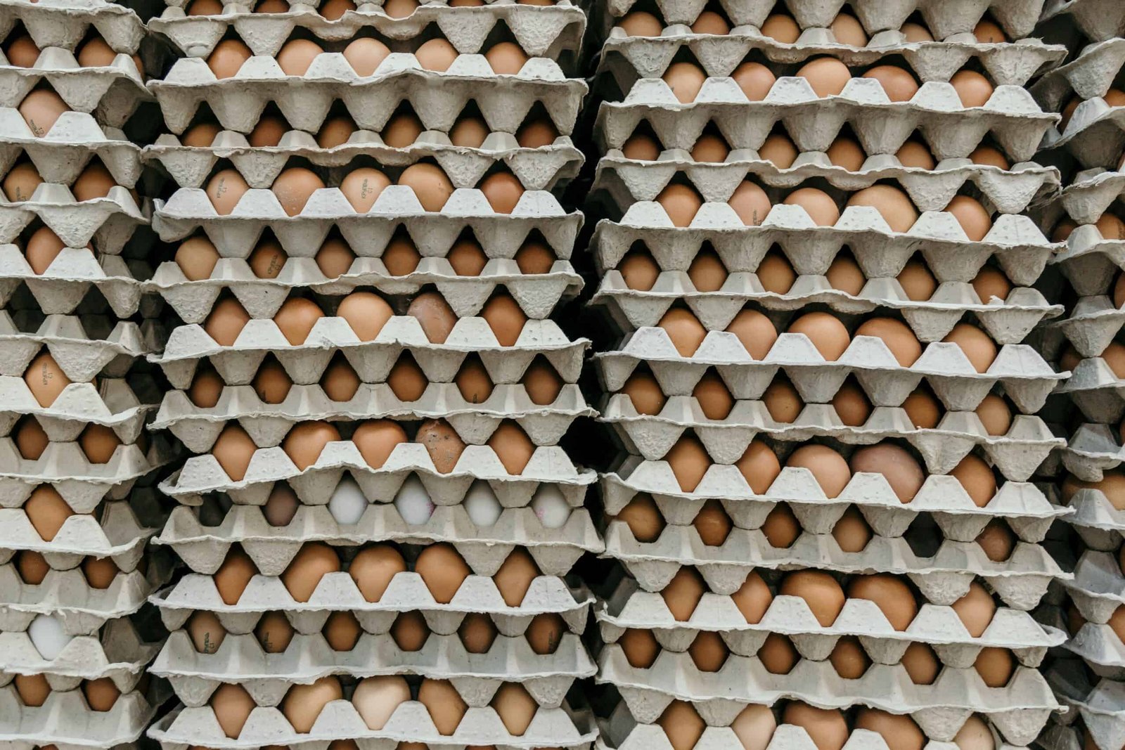 can a vegan eat eggs