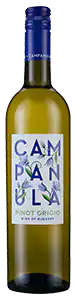 Campanula Pinot Grigio 2021