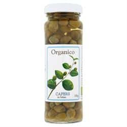 Organic Capers in Brine