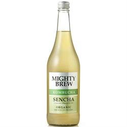 Organic Sencha Kombucha