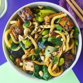 Yaki-Miso Udon Noodles