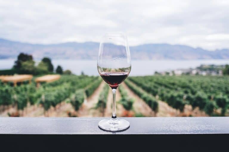 Is wine vegan