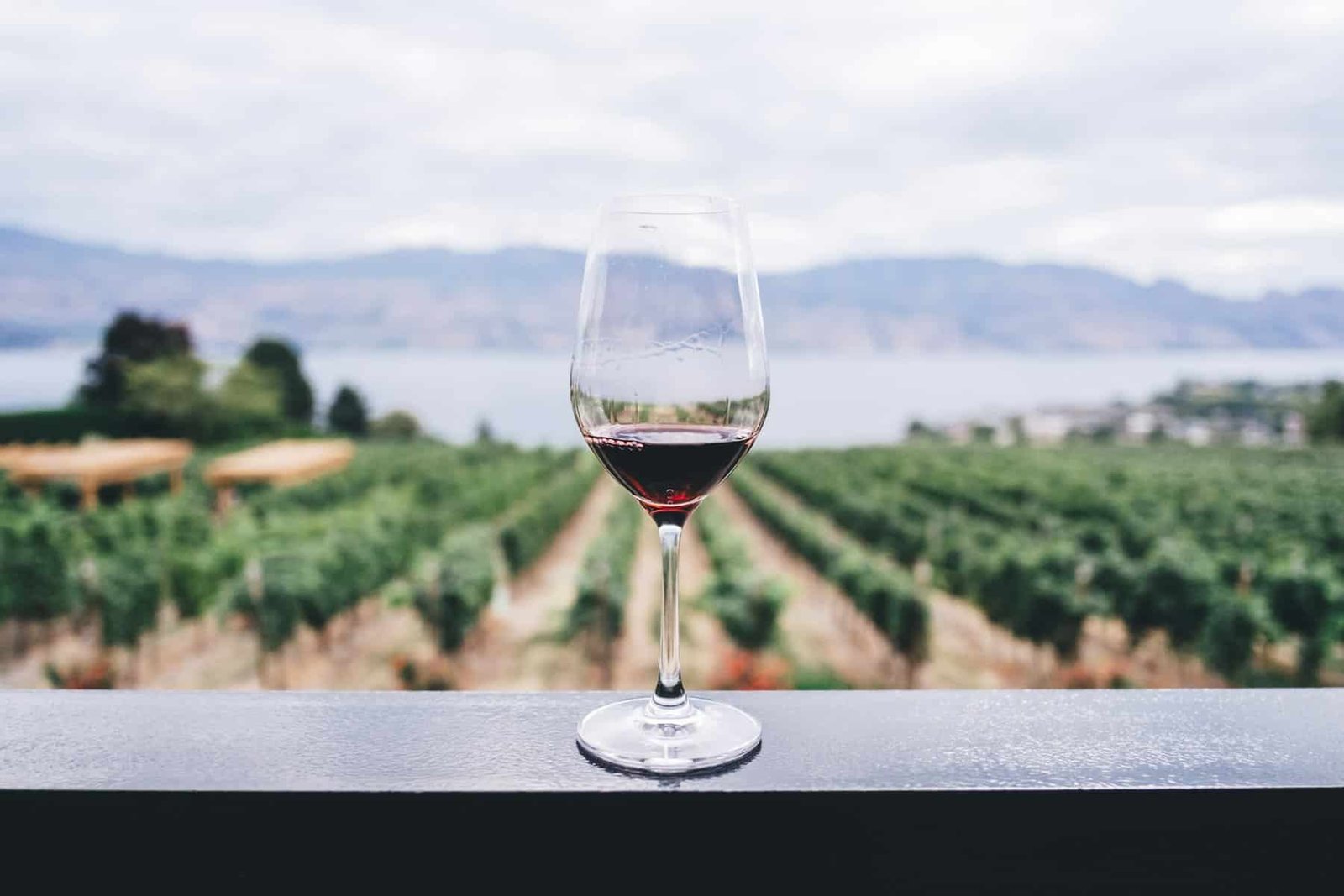 Is wine vegan