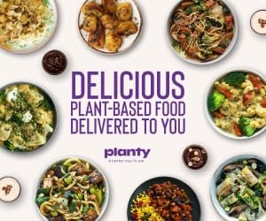 vegan meal delivery