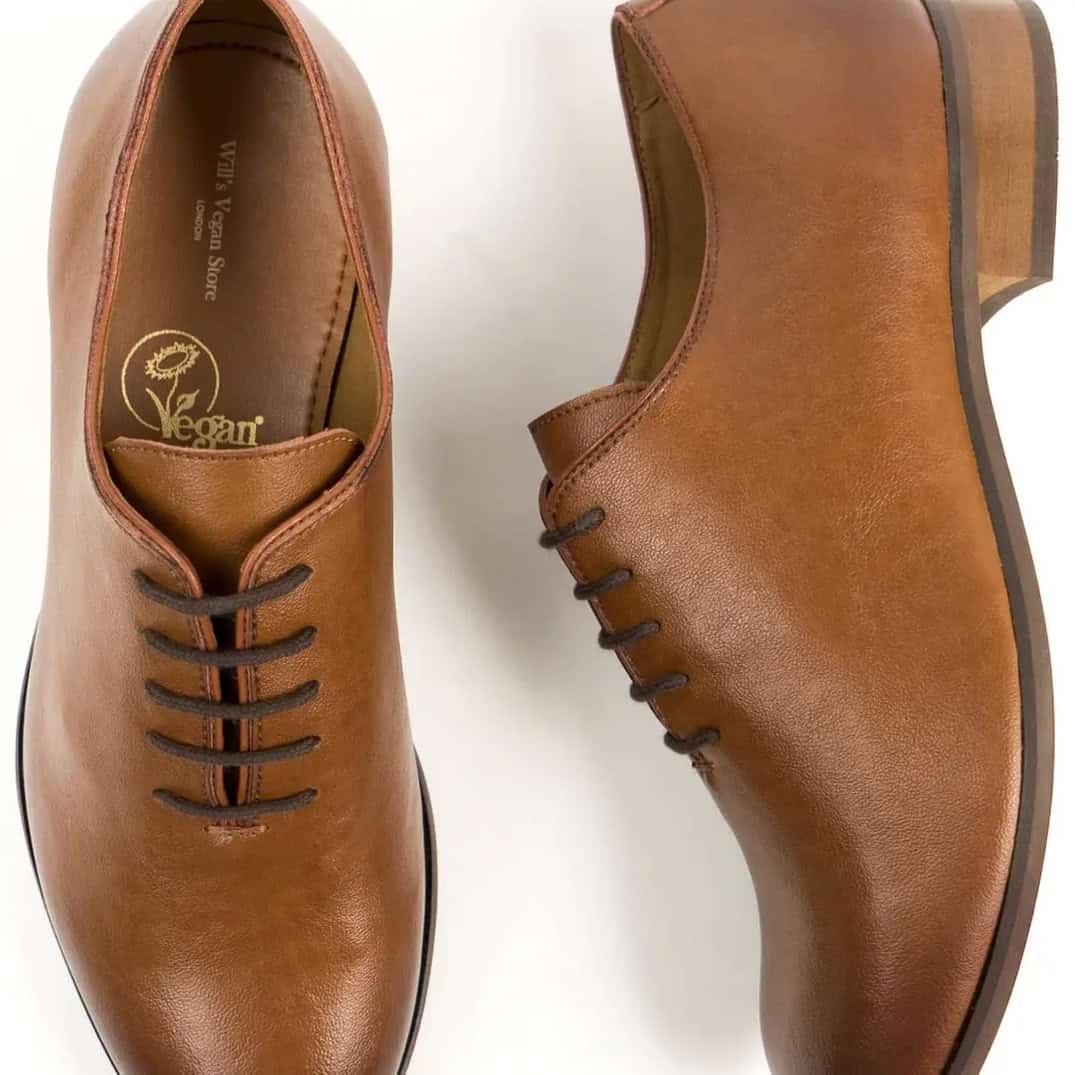 mens vegan shoes