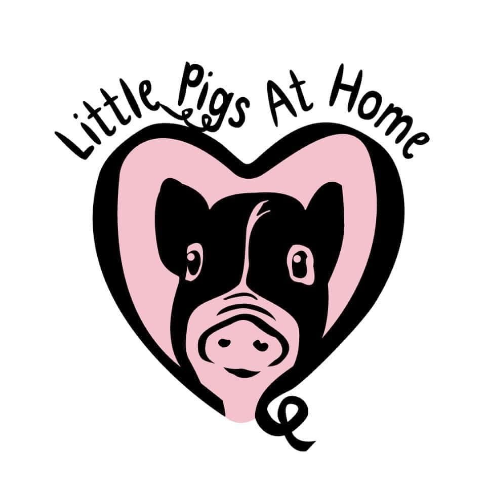 Little Pigs At Home logo